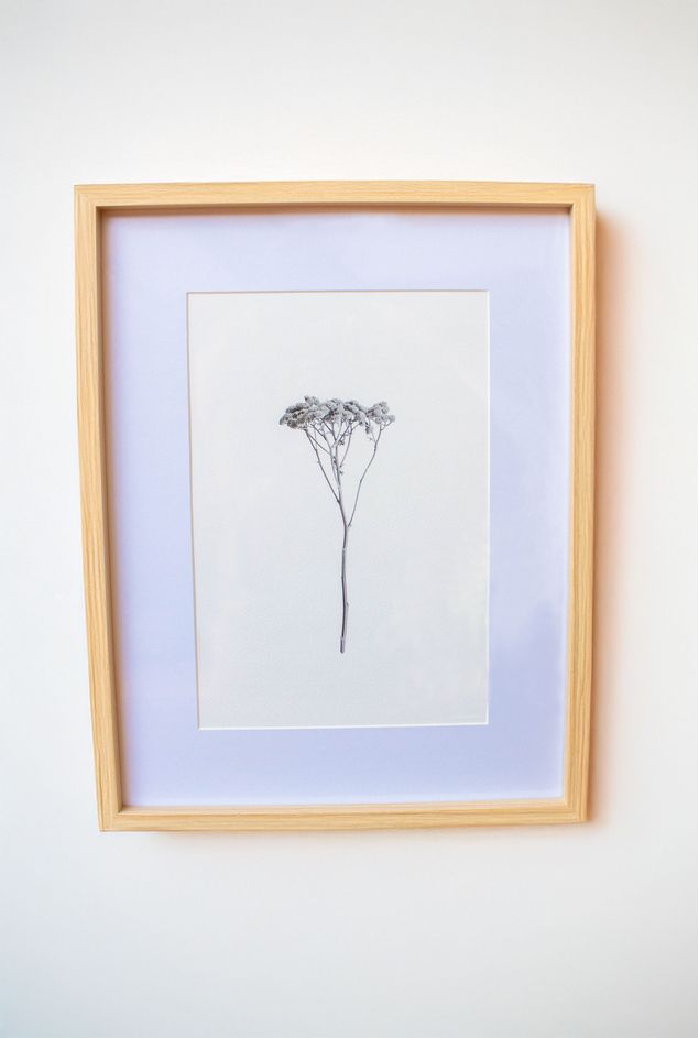 Quadro decorativo Botanico de inverno II -9- copiar.jpg